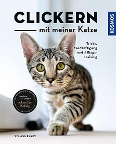 Clickern mit meiner Katze