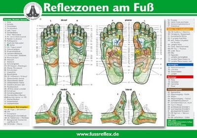 Reflexzonen am Fuß
