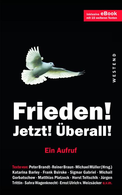 Frieden! Jetzt! Überall!: Ein Aufruf