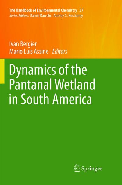 Dynamics of the Pantanal Wetland in South America