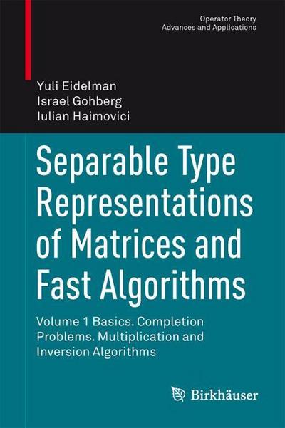 Separable Type Representations of Matrices and Fast Algorithms 1