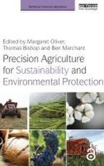 Precision Agriculture for Sustainability and Environmental Protection