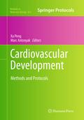 Cardiovascular Development