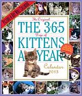 The 365 Kittens-a-Year 2013 Wall Calendar