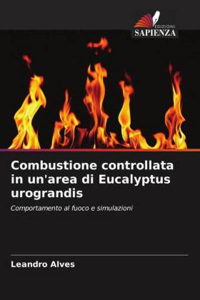 Combustione controllata in un’area di Eucalyptus urograndis