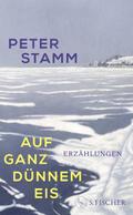 Auf ganz dünnem Eis von Peter Stamm | Buch