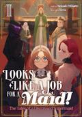 Looks like a Job for a Maid! The Tales of a Dismissed Supermaid: Volume 3