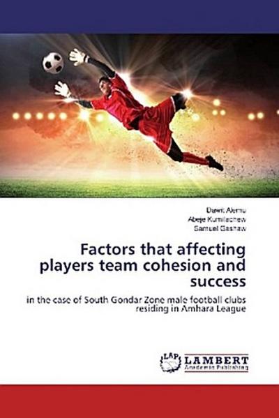 Factors that affecting players team cohesion and success