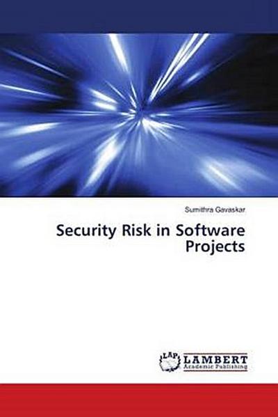 Security Risk in Software Projects