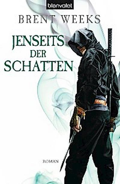 Jenseits der Schatten (eBook, EPUB) - Brent Weeks