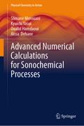 Advanced Numerical Calculations for Sonochemical Processes