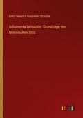 Adiumenta latinitatis: Grundzüge des lateinischen 