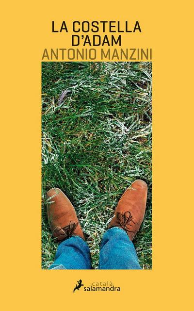 La costella d’Adam