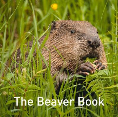 Nature Book Series: The Beaver Book