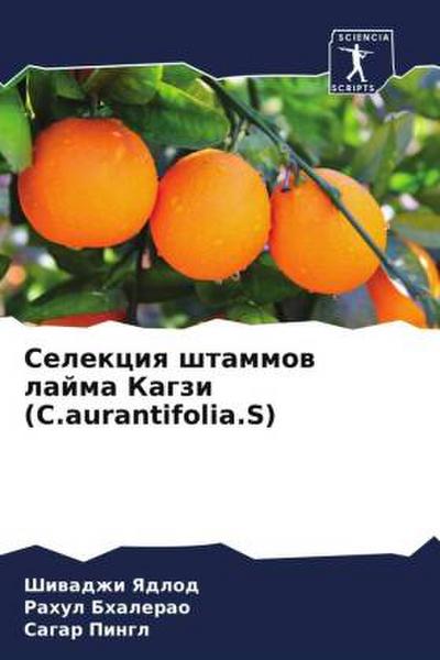 Selekciq shtammow lajma Kagzi (C.aurantifolia.S)