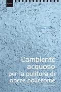 L’ambiente acquoso per il trattamento di opere policrome