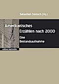 Amerikanisches Erzählen nach 2000