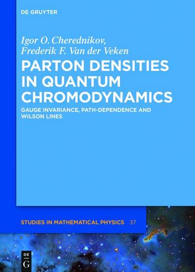 Parton Densities in Quantum Chromodynamics