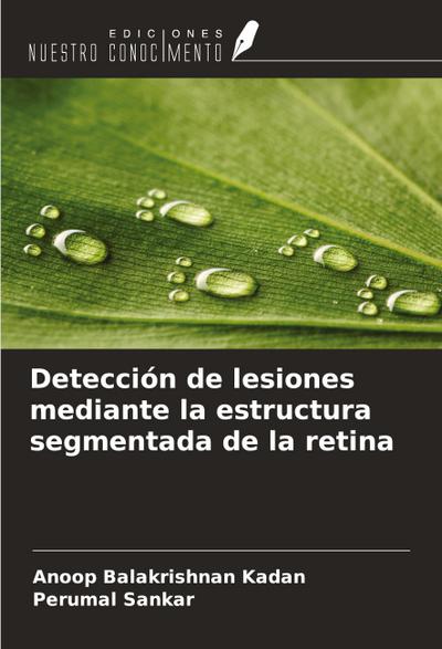 Detección de lesiones mediante la estructura segmentada de la retina