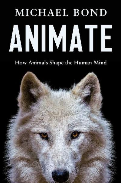 Animate