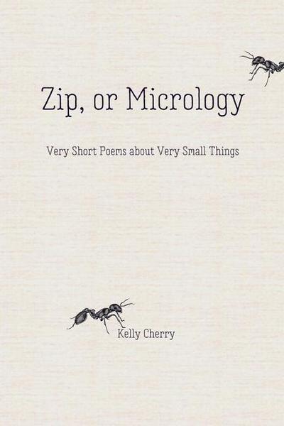 Zip, or Micrology