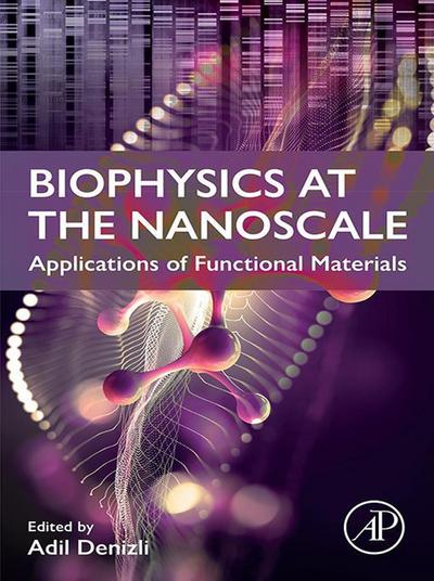 Biophysics at the  Nanoscale