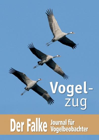 Vogelzug