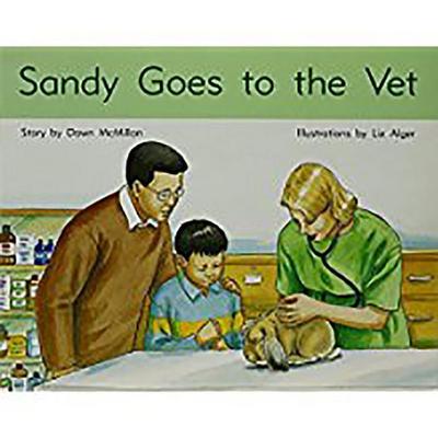 SANDY GOES TO THE VET