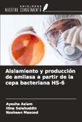 Aislamiento y producción de amilasa a partir de la cepa bacteriana HS-6