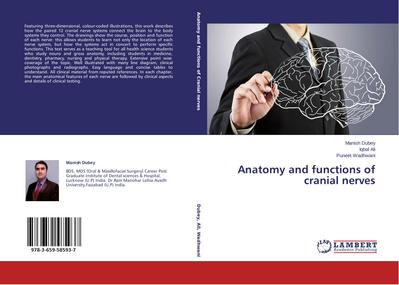 Anatomy and functions of cranial nerves