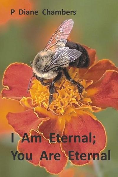 I Am Eternal; You Are Eternal: Six Walks in Heaven