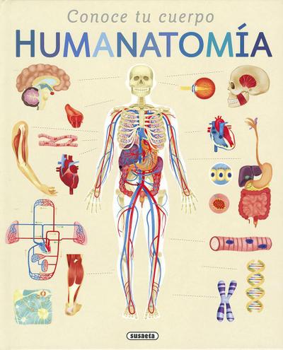 Conoce tu cuerpo. Humanatomía