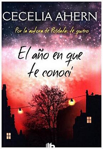 El año en que te conocí