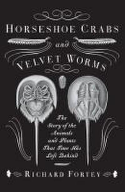 Horseshoe Crabs and Velvet Worms