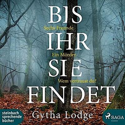 Bis ihr sie findet, 2 Audio-CD, 2 MP3