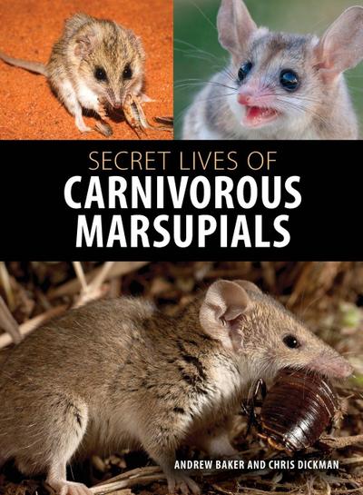 Secret Lives of Carnivorous Marsupials