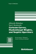 Carleson Curves, Muckenhoupt Weights, and Toeplitz Operators