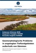 Geomorphologische Probleme in angelegten Tieflandgebieten außerhalb von Dämmen