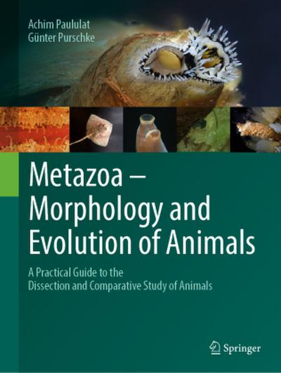 Metazoa - Morphology and Evolution of Animals