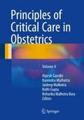Principles of Critical Care in Obstetrics