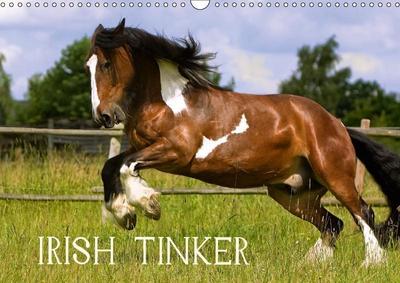 Irish Tinker (Wandkalender 2018 DIN A3 quer)