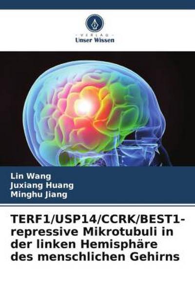 TERF1/USP14/CCRK/BEST1-repressive Mikrotubuli in der linken Hemisphäre des menschlichen Gehirns