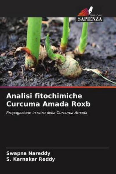 Analisi fitochimiche Curcuma Amada Roxb