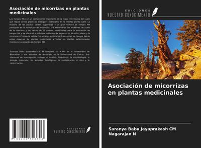 Asociación de micorrizas en plantas medicinales