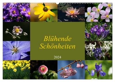 Blühende Schönheiten 2024 (Wandkalender 2024 DIN A2 quer), CALVENDO Monatskalender
