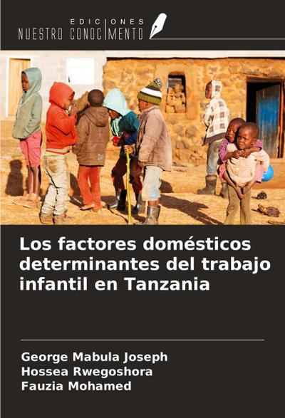 Los factores domésticos determinantes del trabajo infantil en Tanzania