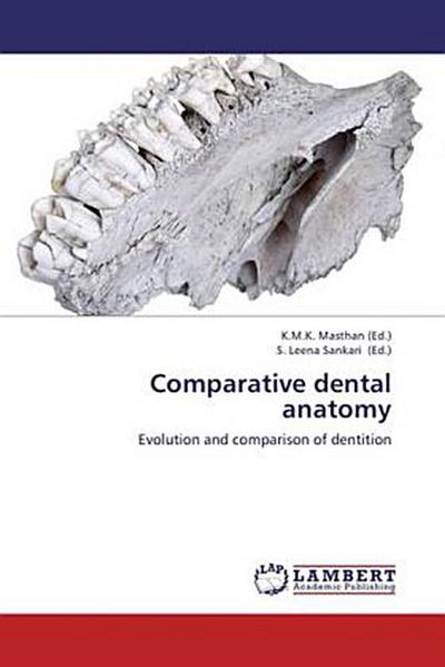Comparative dental anatomy
