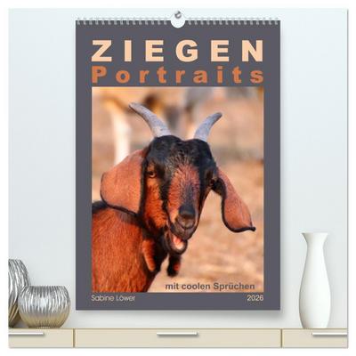 Ziegenportraits (hochwertiger Premium Wandkalender 2026 DIN A2 hoch), Kunstdruck in Hochglanz