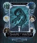 Guillermo del Toro’s the Shape of Water