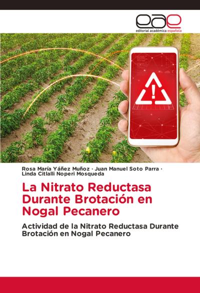 La Nitrato Reductasa Durante Brotación en Nogal Pecanero